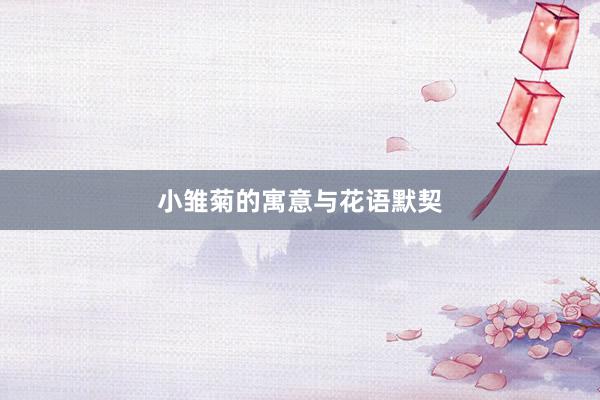 小雏菊的寓意与花语默契