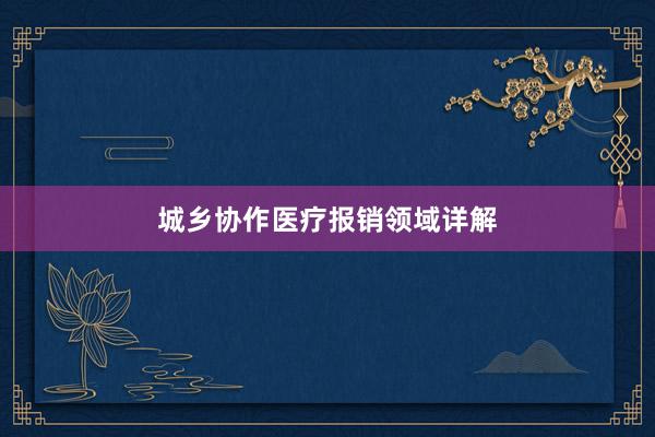 城乡协作医疗报销领域详解