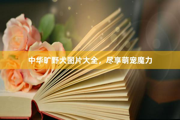 中华旷野犬图片大全，尽享萌宠魔力