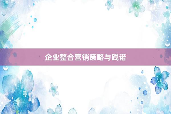 企业整合营销策略与践诺